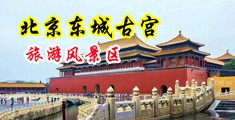 嗯啊操我www.123.com中国北京-东城古宫旅游风景区